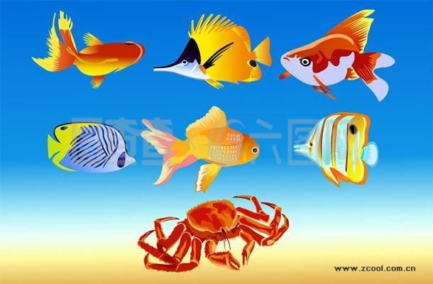 觀賞魚的軟件有哪些(觀賞魚養護秘籍) 老魚匠 第3張 觀賞魚的軟件有哪些(觀賞魚養護秘籍) 觀賞魚的軟件有哪些(觀賞魚養護秘籍) 老魚匠 第3張