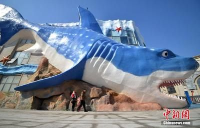 邯鄲水族館vs祥龍魚場（邯鄲市叢臺區七彩水族館和祥龍魚場的經營產品對比）