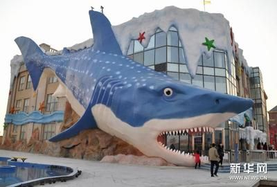 邯鄲水族館vs祥龍魚場（邯鄲市叢臺區七彩水族館和祥龍魚場的經營產品對比）