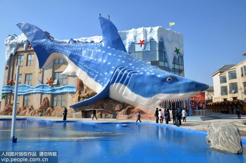 邯鄲水族館vs祥龍魚場（邯鄲市叢臺區七彩水族館和祥龍魚場的經營產品對比）