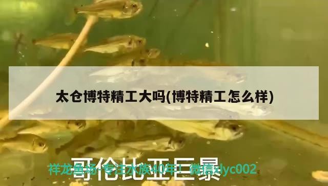 太倉(cāng)博特精工大嗎(博特精工怎么樣)