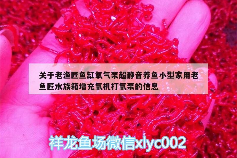 關于老漁匠魚缸氧氣泵超靜音養魚小型家用老魚匠水族箱增充氧機打氧泵的信息