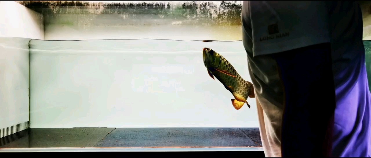 說說活食利弊