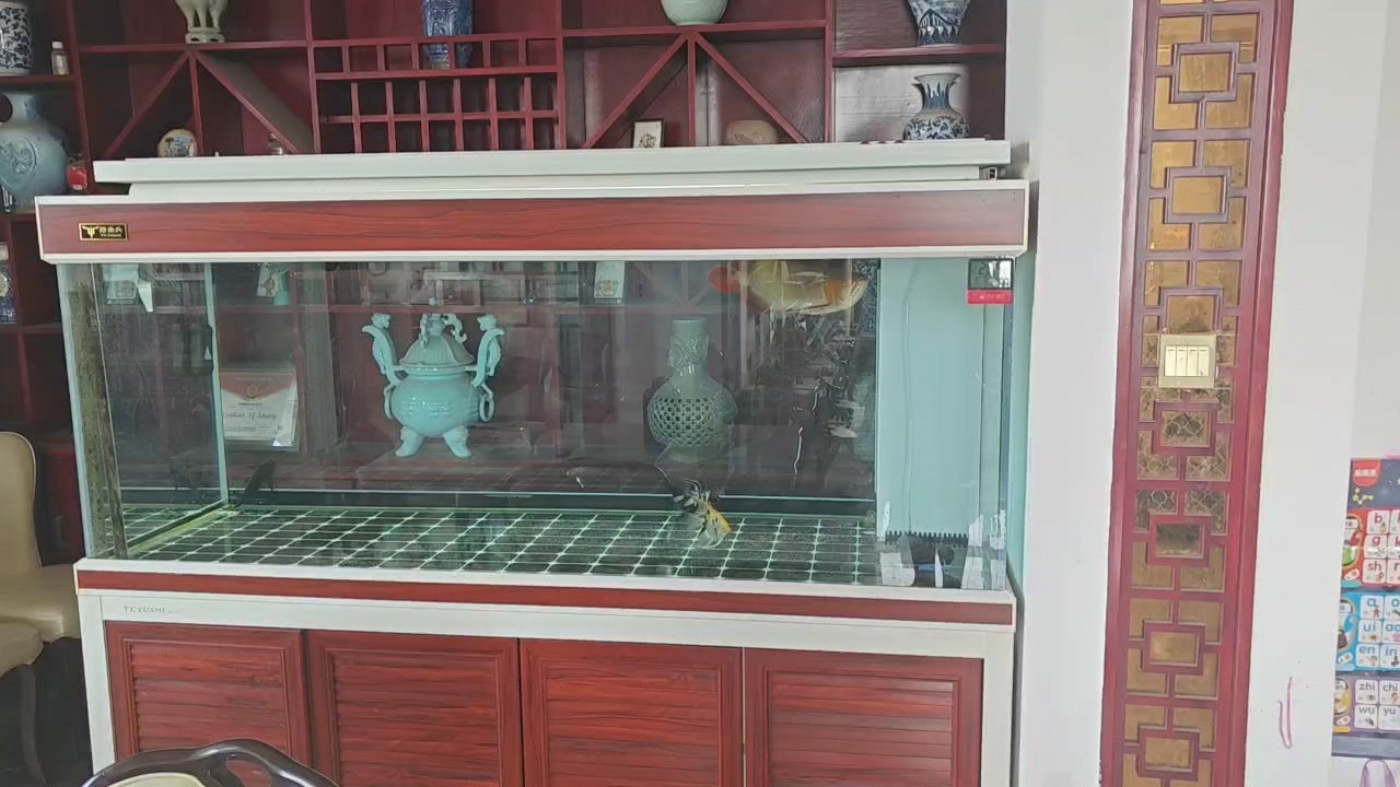 圈選龍魚(yú)換水記錄[ciya] 圈選龍魚(yú)換水記錄[ciya] 龍魚(yú)論壇