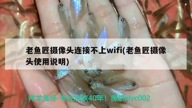 老魚匠攝像頭連接不上wifi(老魚匠攝像頭使用說(shuō)明)