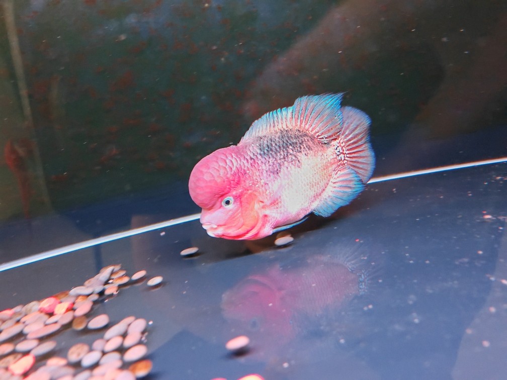 有點(diǎn)火氣??