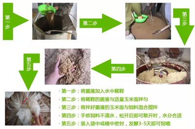 國家禁止養(yǎng)的6種龜：鎮(zhèn)宅最厲害6種龜