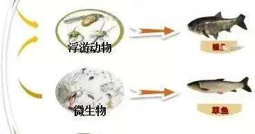 貴子降世的四大征兆：貴子降世的四大征兆是什么
