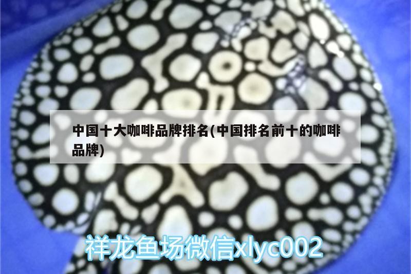 中國十大咖啡品牌排名(中國排名前十的咖啡品牌)