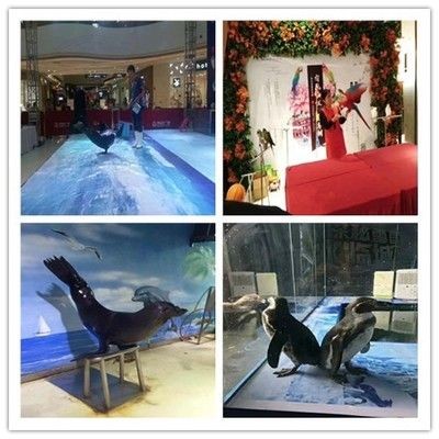 崇州哪里有賣魚缸的店面：崇州市內一些與魚缸相關的商家信息可以幫助您了解