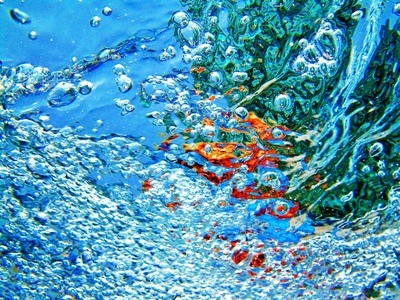 觀賞龍魚多少錢一條:觀賞龍魚多少錢一條啊 龍魚百科 第1張 觀賞龍魚多少錢一條:觀賞龍魚多少錢一條啊 觀賞龍魚多少錢一條:觀賞龍魚多少錢一條啊 龍魚百科 第1張