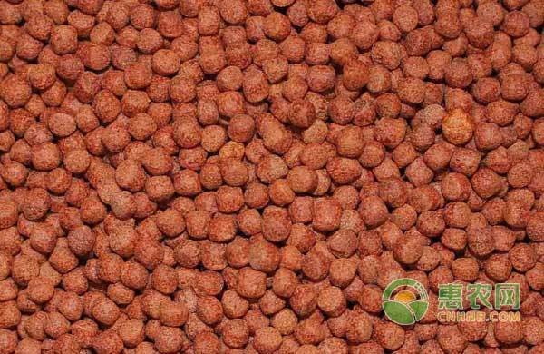 關于魚的寓意好四句:關于魚的寓意好四句話 龍魚百科 第3張 關于魚的寓意好四句:關于魚的寓意好四句話 關于魚的寓意好四句:關于魚的寓意好四句話 龍魚百科 第3張