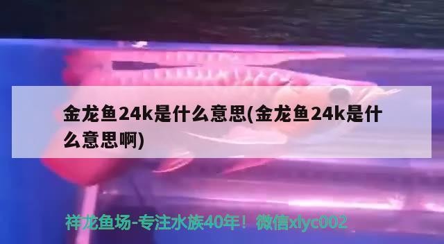 上下水魚缸怎么不過濾