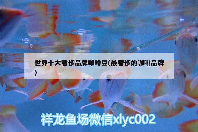 世界十大奢侈品牌咖啡豆(最奢侈的咖啡品牌)