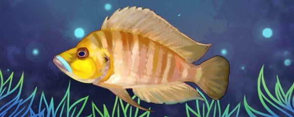 虎魚油畫：虎魚油畫在現代設計中有著廣泛的應用前景