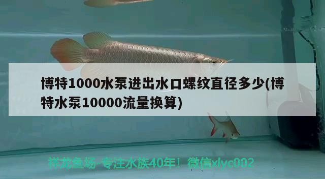 博特1000水泵進出水口螺紋直徑多少(博特水泵10000流量換算)