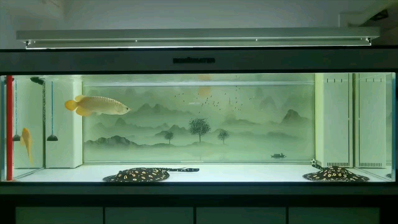 保持善良，擁抱遠方！