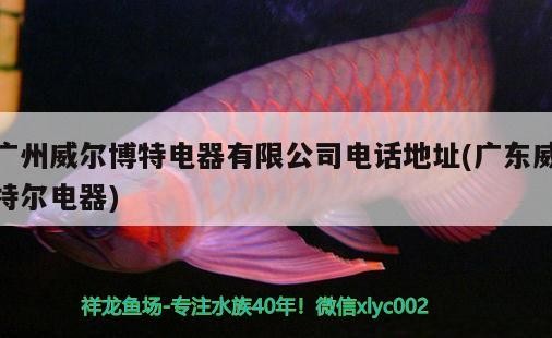 廣州威爾博特電器有限公司電話地址(廣東威特爾電器) 廣州威爾博特電器有限公司電話地址(廣東威特爾電器) 博特水族