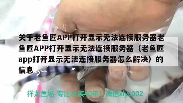 關于老魚匠APP打開顯示無法連接服務器老魚匠APP打開顯示無法連接服務器（老魚匠app打開顯示無法連接服務器怎么解決）的信息