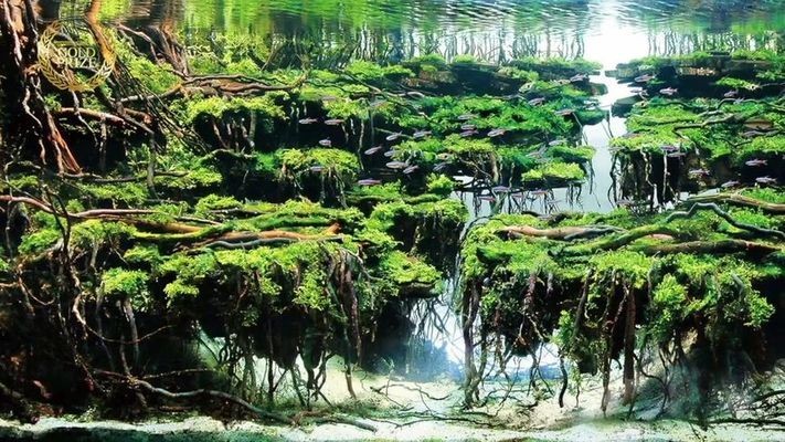 虎魚天天黑來點赤瞳黃金 老魚匠加熱棒出現(xiàn)故障怎么排除(老魚匠加熱棒出現(xiàn)故障怎么排除e6) 老魚匠 老魚匠加熱棒出現(xiàn)故障怎么排除(老魚匠加熱棒出現(xiàn)故障怎么排除e6) 老魚匠加熱棒出現(xiàn)故障怎么排除(老魚匠加熱棒出現(xiàn)故障怎么排除e6) 老魚匠