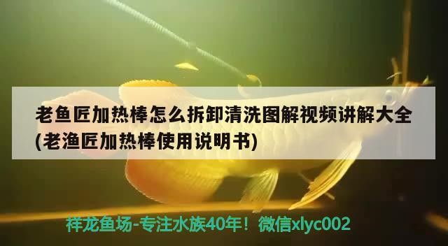 老魚匠加熱棒怎么拆卸清洗圖解視頻講解大全(老漁匠加熱棒使用說明書)
