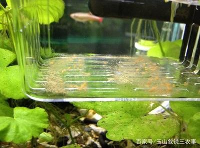 工作不順怎么破解風水：工作不順怎么破解風水說說