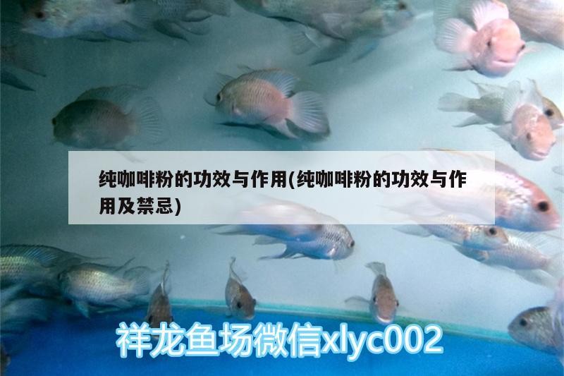 純咖啡粉的功效與作用(純咖啡粉的功效與作用及禁忌) 純咖啡粉的功效與作用(純咖啡粉的功效與作用及禁忌) 馬來西亞咖啡