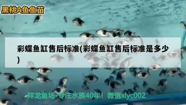 銀龍魚貴還是金龍魚貴(紅龍魚和銀龍魚哪個(gè)貴)
