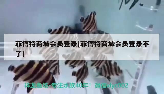 菲博特商城會員登錄(菲博特商城會員登錄不了)