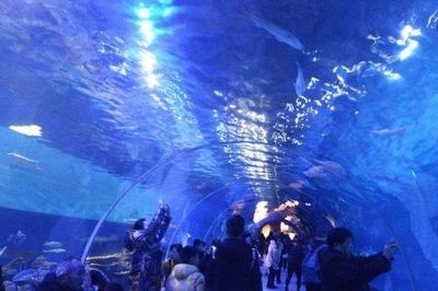池州水族館vs祥龍魚場（探討池州水族館與祥龍魚場之間的差異之前需要明確基本信息）