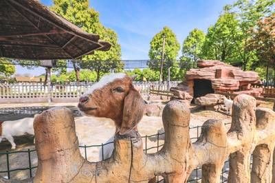 池州水族館vs祥龍魚場（探討池州水族館與祥龍魚場之間的差異之前需要明確基本信息）