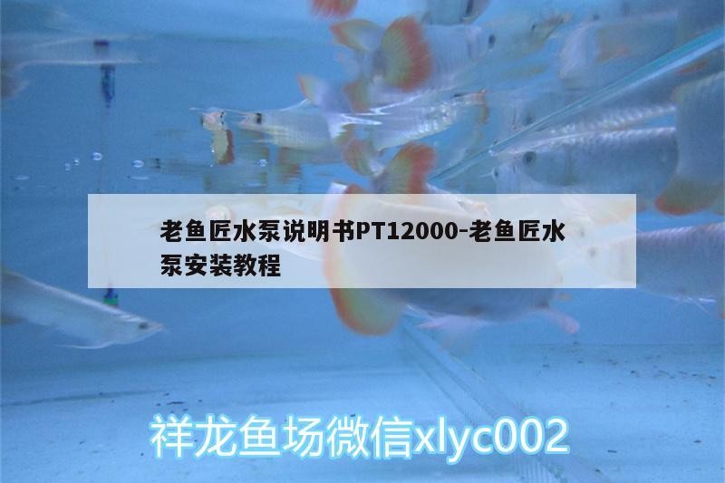 老魚匠水泵說明書PT12000:老魚匠水泵安裝教程