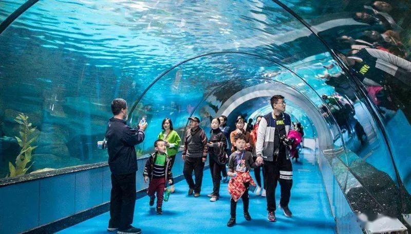 開封水族館vs祥龍魚場(chǎng)（開封水族館和祥龍魚場(chǎng)有什么關(guān)系，開封水族館和祥龍魚場(chǎng)有關(guān)）