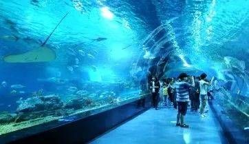 開封水族館vs祥龍魚場(chǎng)（開封水族館和祥龍魚場(chǎng)有什么關(guān)系，開封水族館和祥龍魚場(chǎng)有關(guān)）