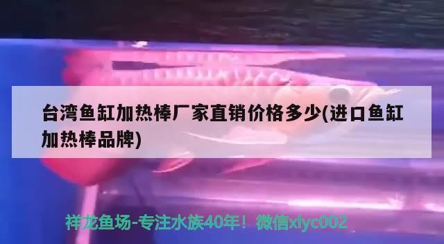 臺灣魚缸加熱棒廠家直銷價格多少(進口魚缸加熱棒品牌) 臺灣魚缸加熱棒廠家直銷價格多少(進口魚缸加熱棒品牌) 金龍魚百科