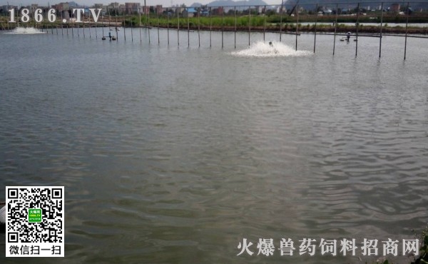 附近哪里有養(yǎng)土元的：附近哪里有養(yǎng)土元的廠家