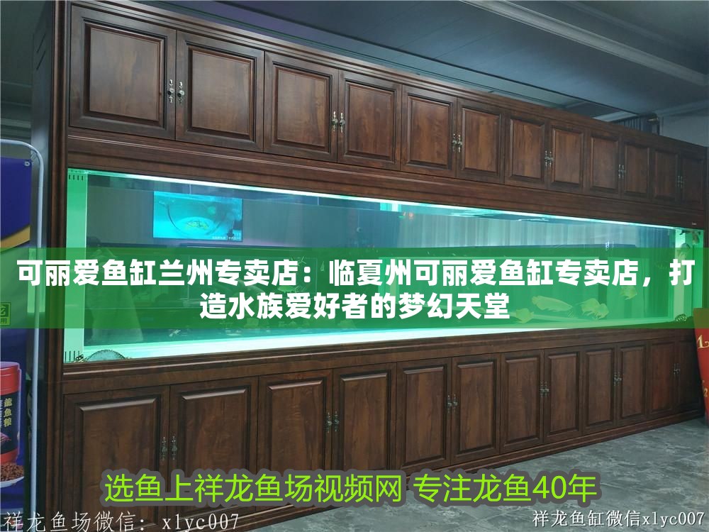 可麗愛魚缸蘭州專賣店：臨夏州可麗愛魚缸專賣店，打造水族愛好者的夢幻天堂