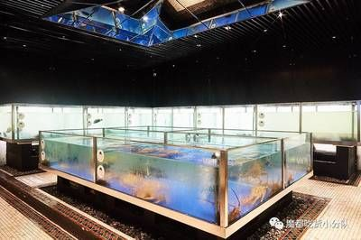 銅川水族館vs祥龍魚場（銅川水族館和祥龍魚場）