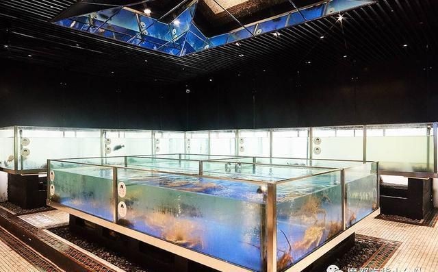 銅川水族館vs祥龍魚場（銅川水族館和祥龍魚場）