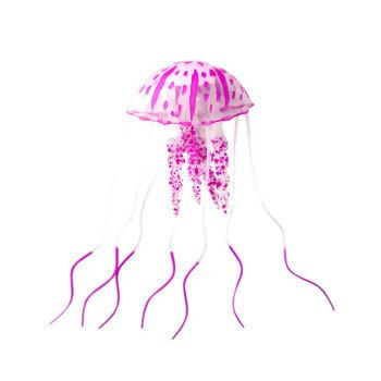 60魚缸造景多少錢：60魚缸造景價格受到多種因素影響，