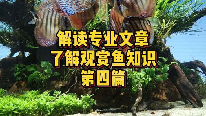風(fēng)水最旺的四種花：風(fēng)水最旺的四種花耐寒是什么