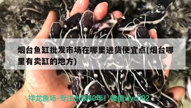 煙臺魚缸批發市場在哪里進貨便宜點(煙臺哪里有賣缸的地方)