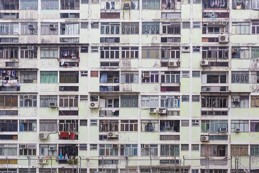 香港魟魚，香港魟魚的保護 香港魟魚，香港魟魚的保護 魚缸百科 第4張