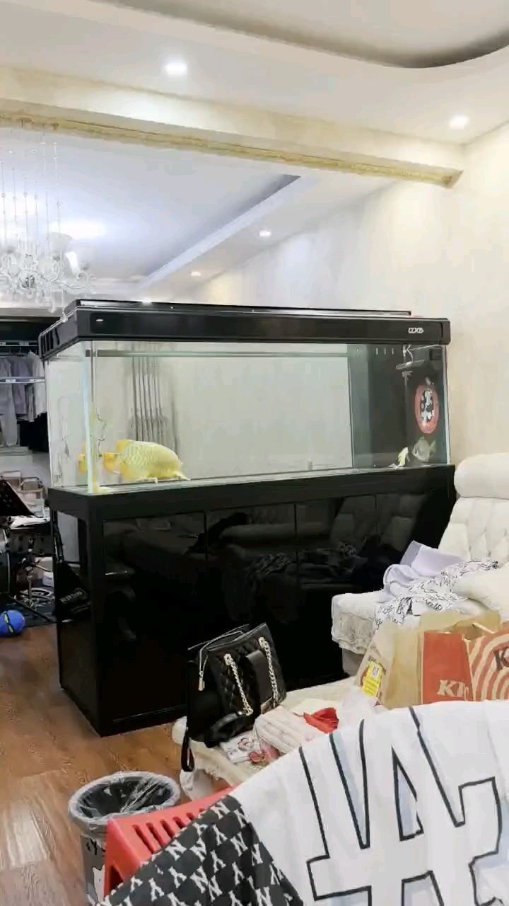 倒缸以后就胃口不行，下了20片土霉素