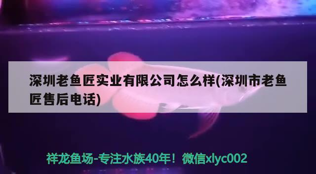 深圳老魚匠實業有限公司怎么樣(深圳市老魚匠售后電話)