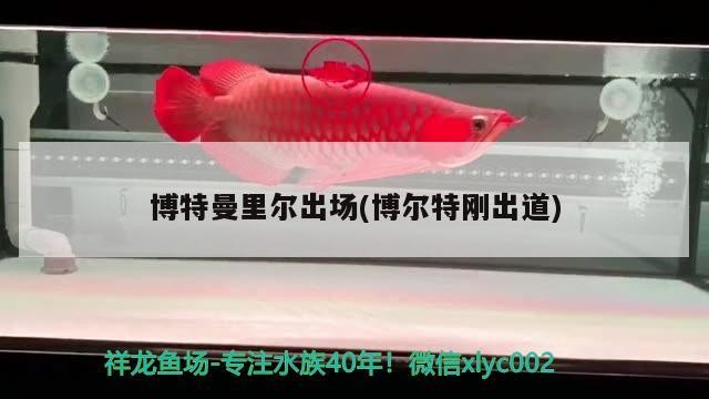 博特曼里爾出場(博爾特剛出道)
