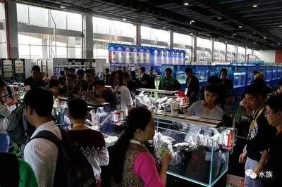 2024年水族展會時間及地點介紹：2024年水族展會時間、地點、地點、地點、參展介紹 2024年水族展會時間及地點介紹：2024年水族展會時間、地點、地點、地點、參展介紹 魚缸百科 第1張