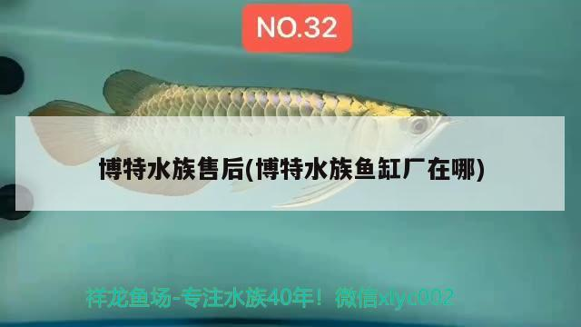 博特水族售后(博特水族魚缸廠在哪) 博特水族 博特水族售后(博特水族魚缸廠在哪) 博特水族售后(博特水族魚缸廠在哪) 博特水族