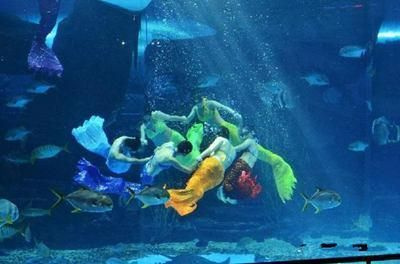 毫州水族館vs祥龍魚場（毫州水族館與祥龍魚場之前，我們需要明確的具體信息）
