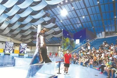 毫州水族館vs祥龍魚場（毫州水族館與祥龍魚場之前，我們需要明確的具體信息）